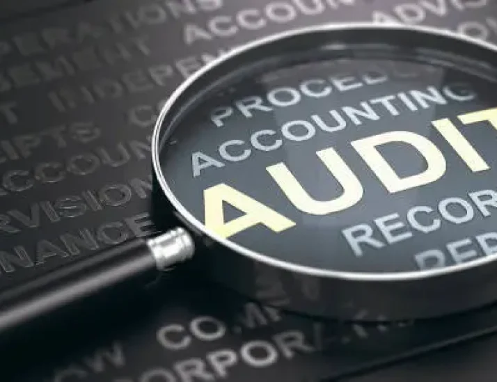 AUDIT